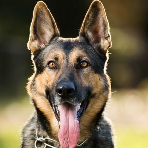 Meet your Posher, Cynthia